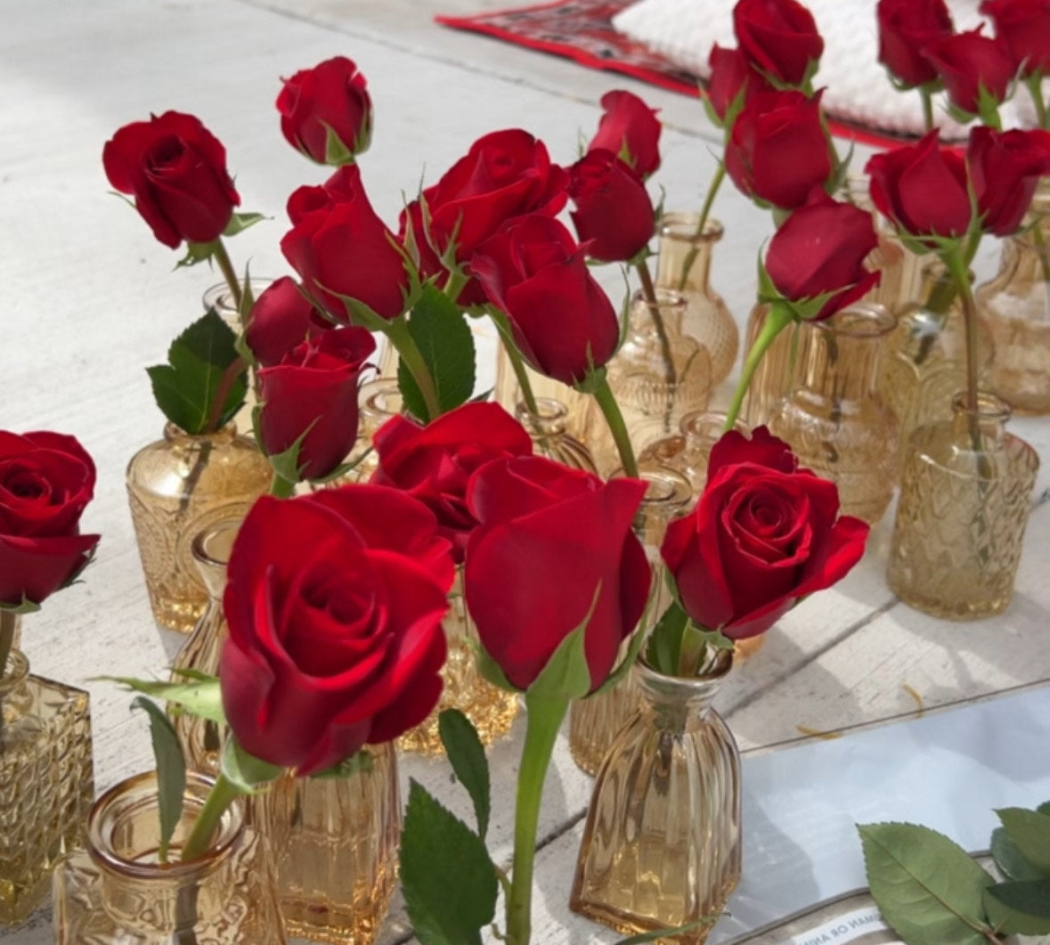 Rose Romance